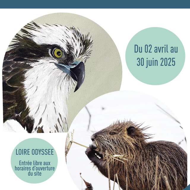 Exposition : Jean-Charles Violet & Eric Gibert : Photographies, peintures et modelages