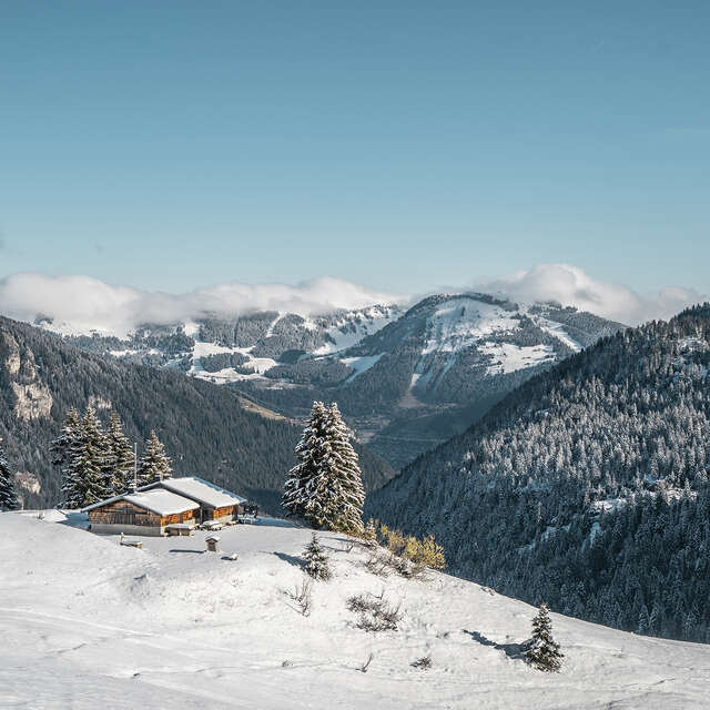 Itinéraire raquettes -  Col de Bassachaux | Plaine Dranse