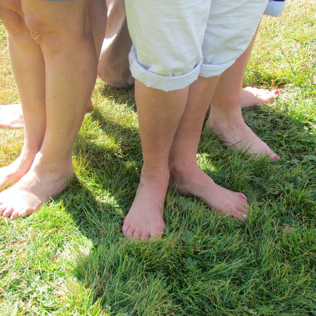 Yoga and hiking : courses