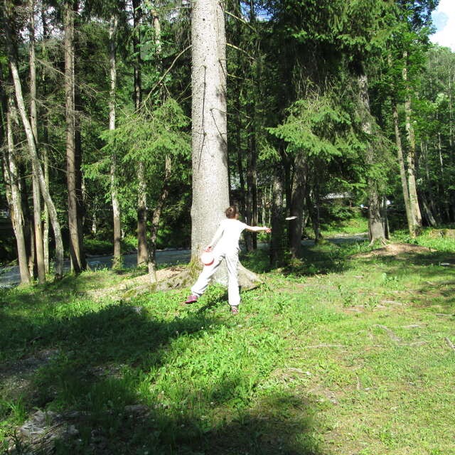 Frisbee-golf