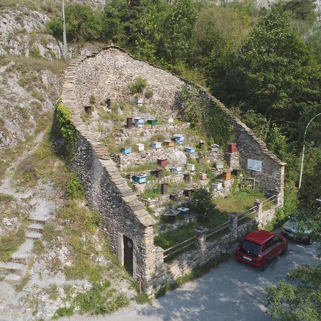 Maison des Abeilles "Ca D'arbine"