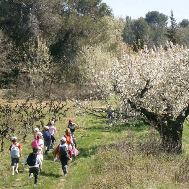 Wochenende von Bauernhof zu Bauernhof - Domaine des Adrès