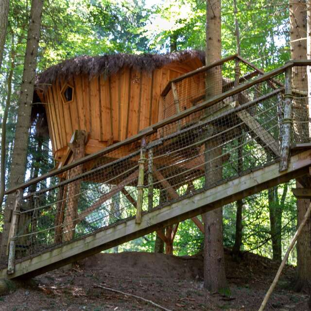Cabane dans les bois Les Framboises