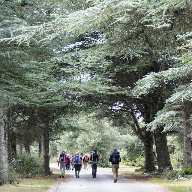 Randonnée en Provence : les incontournables du Luberon