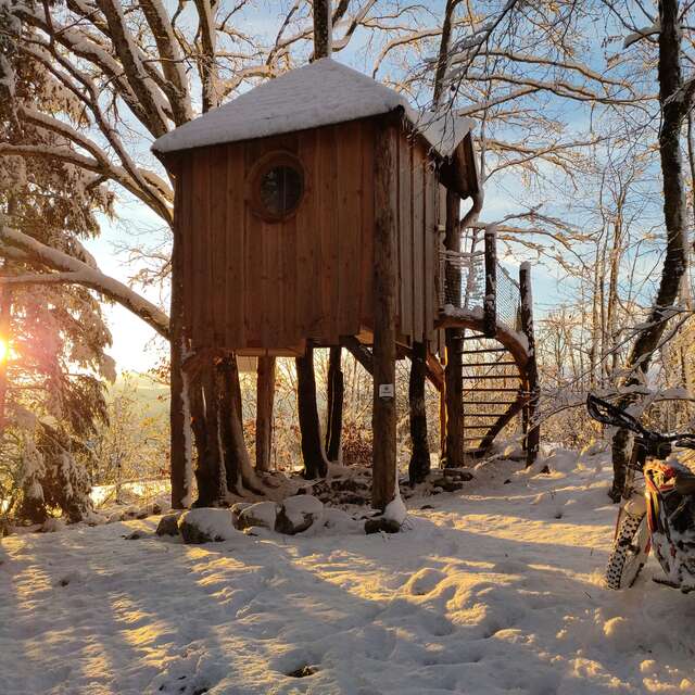 Cabane perchée dans les arbres "la Lazine"