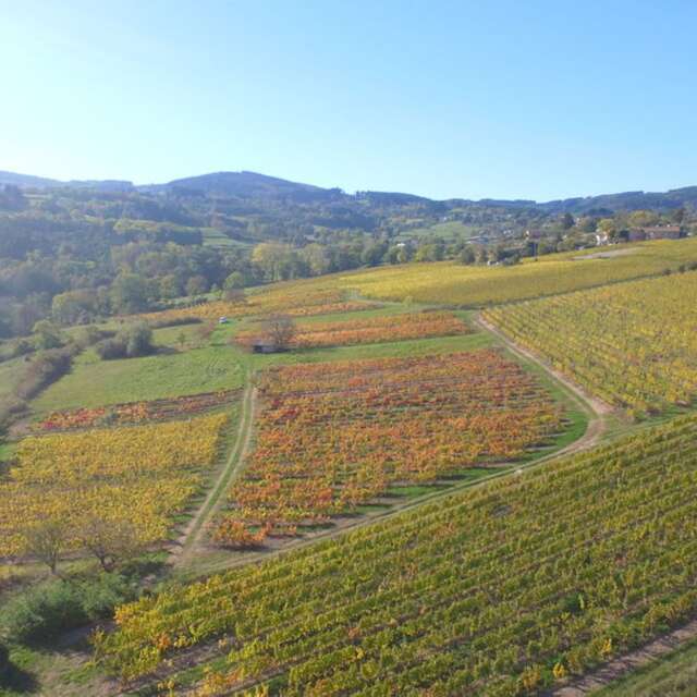 Rencontre vigneronne au Domaine Reniteo