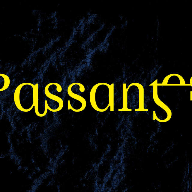 Exposition : Passant.es