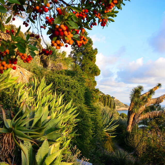 Jardin Piacenza Boccanegra