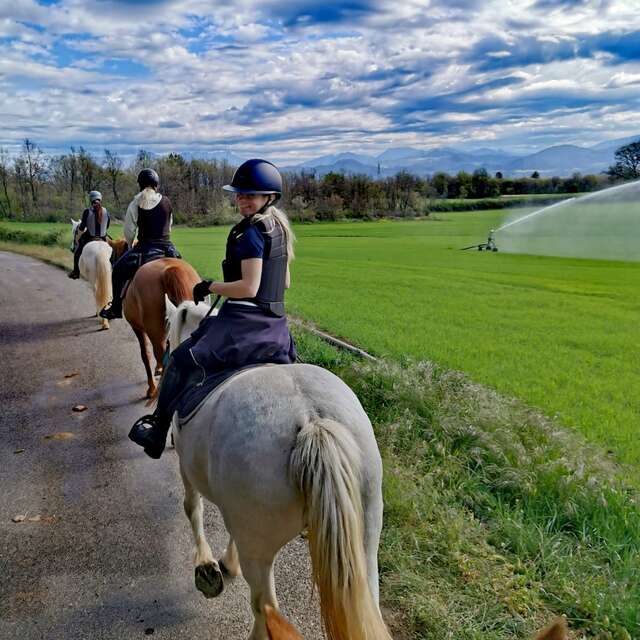 Stage randonnée - Ferme équestre du Grand Bois