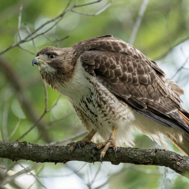 Uitstapje vogels kijken