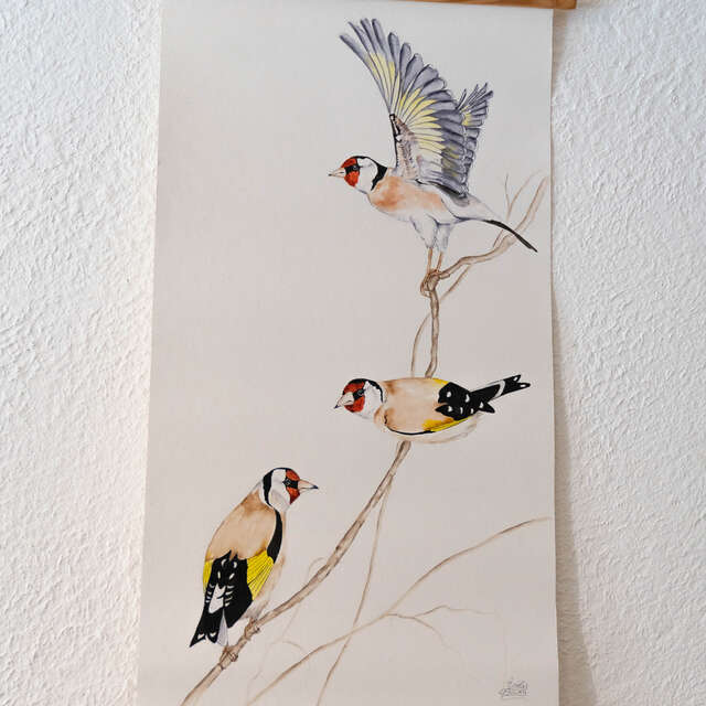 Atelier de création d'estampe - Atelier d'Ambo