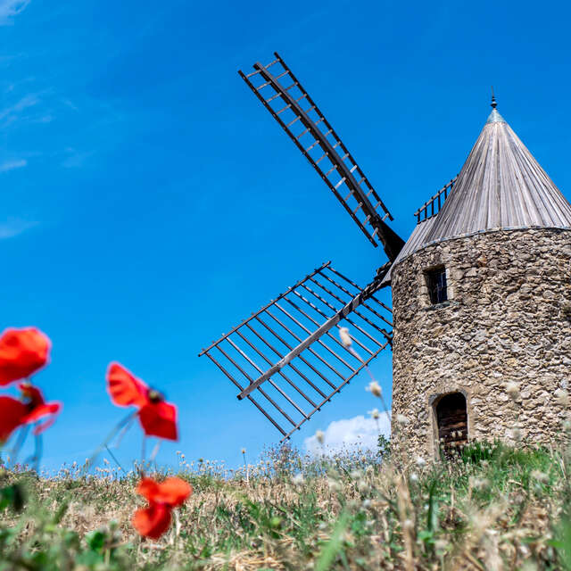 Moulin Saint-Roch