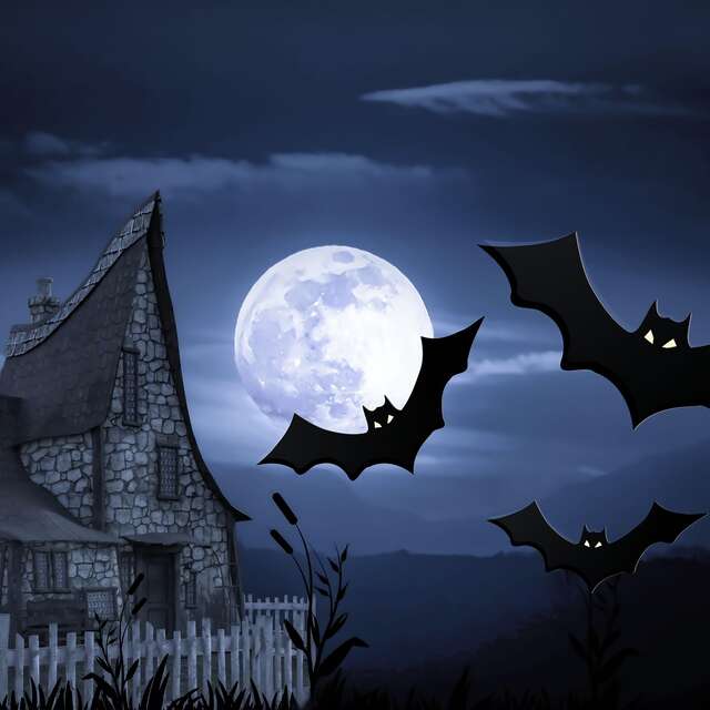 Soirée chauve-souris à Champdieu