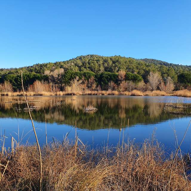 Geführte Ausflüge zu den Teichen von Sauvebonne