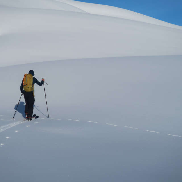 Splitboard