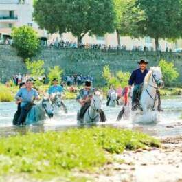 Feria - Course Gardonnenque