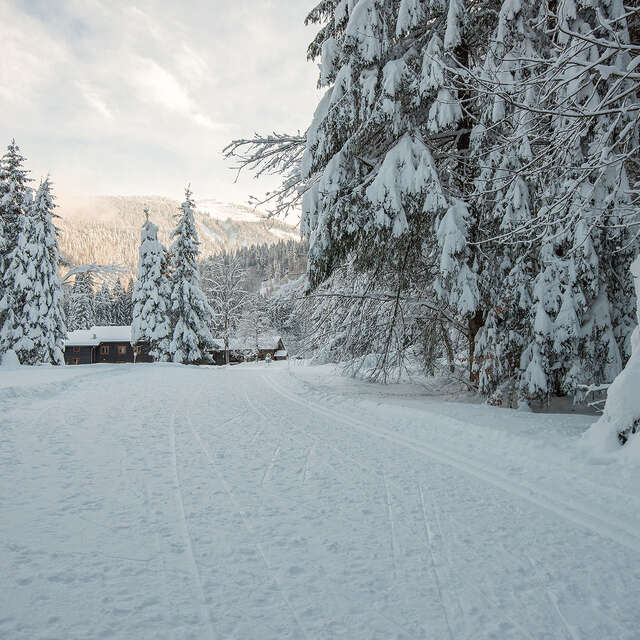 Le lac de Montriond jusqu'à Ardent