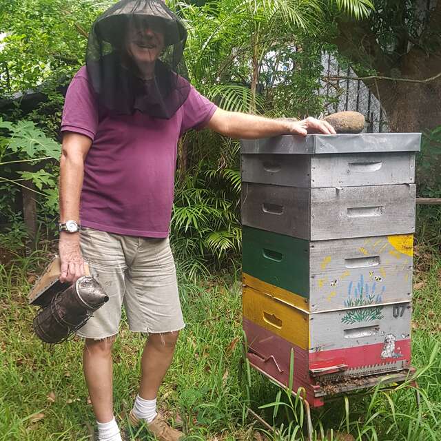 La Butineuse