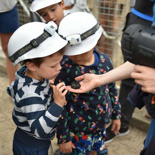 Visite : " Slow visite "