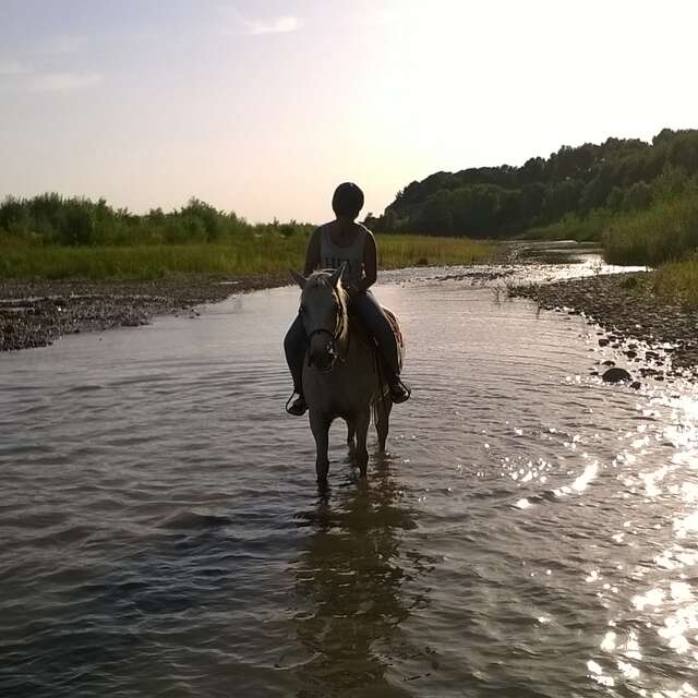 Balades à cheval et poney avec l'Elevage du Faci