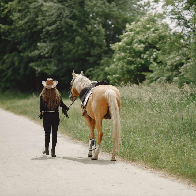 Le poney vert