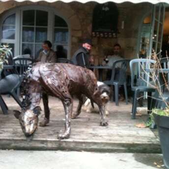 Bar - Restaurant Le Lagardère