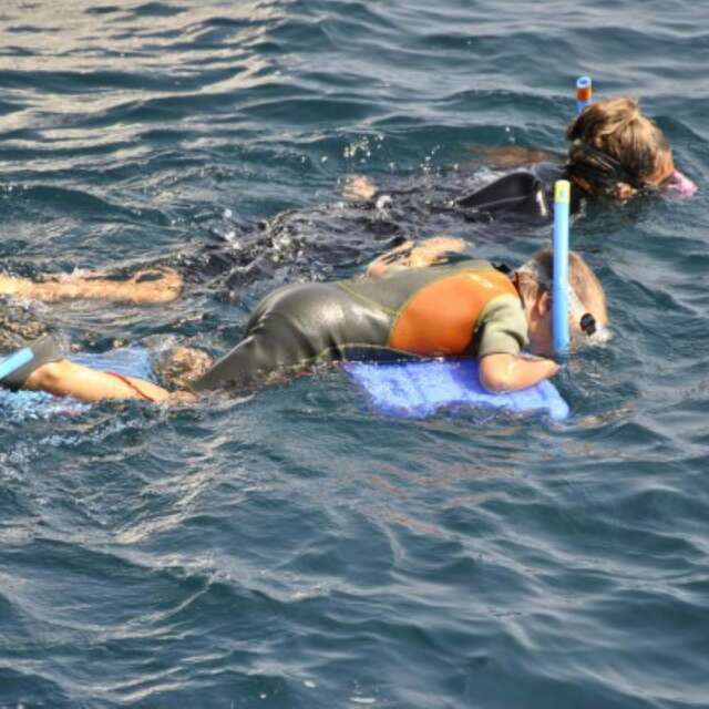 Snorkeling con istruttore