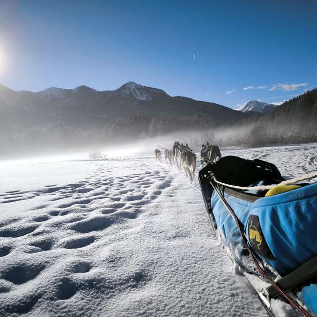 Baptême en traîneau à chiens - L'Empreinte nordique