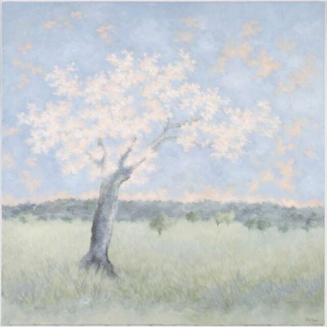 Atelier Galerie "Les Lumières du Vent" - Karibou