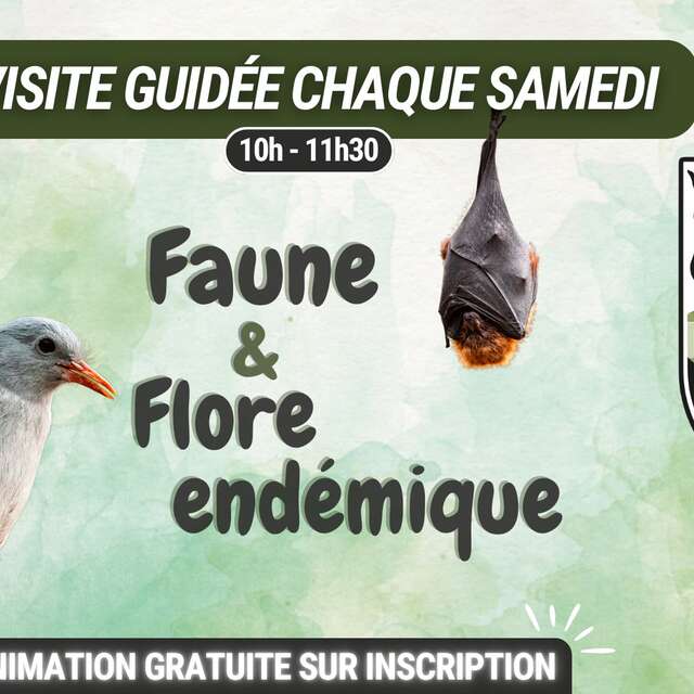 Faune et flore endémique - Parc Zoologique et Forestier