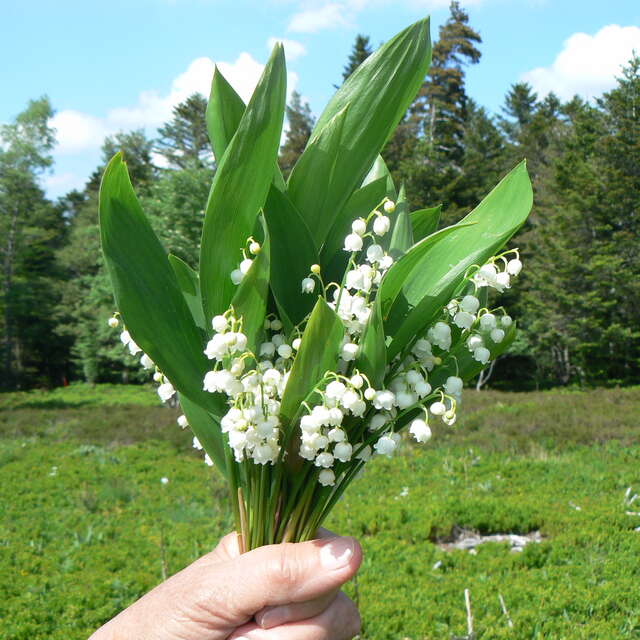 Ouverture de la saison 2026