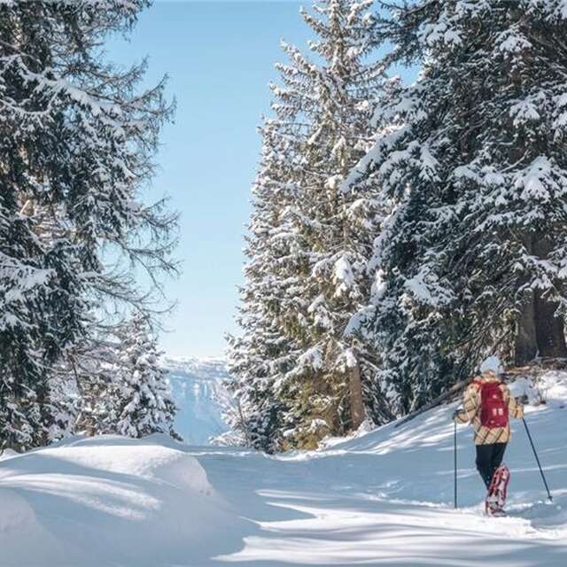 Boucle découverte du Plateau de la Ramée