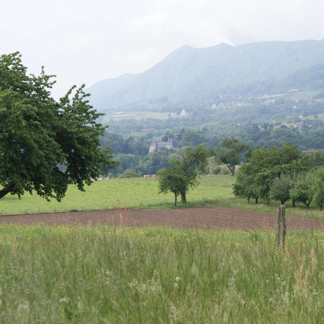 The Pré Lombard marsh