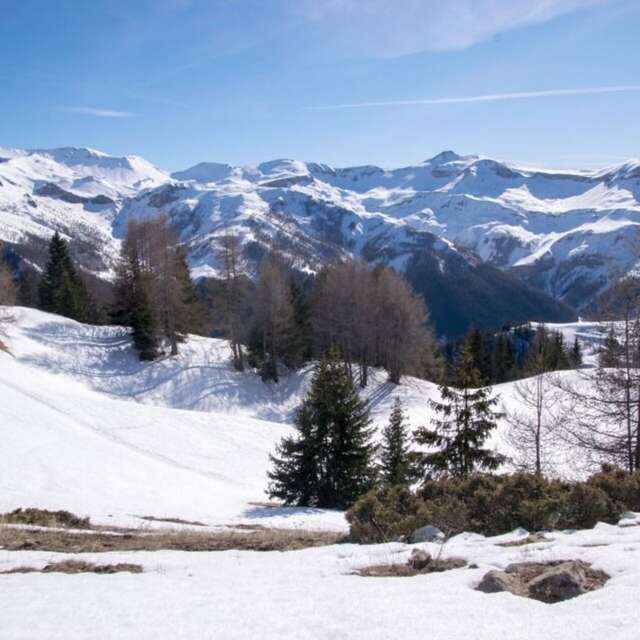 Randonnée raquettes Belvédère des chamois