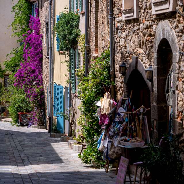Der Bougainvillea-Spaziergang