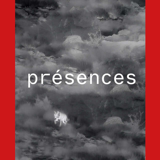 Visite guidée de l'exposition "Présences"