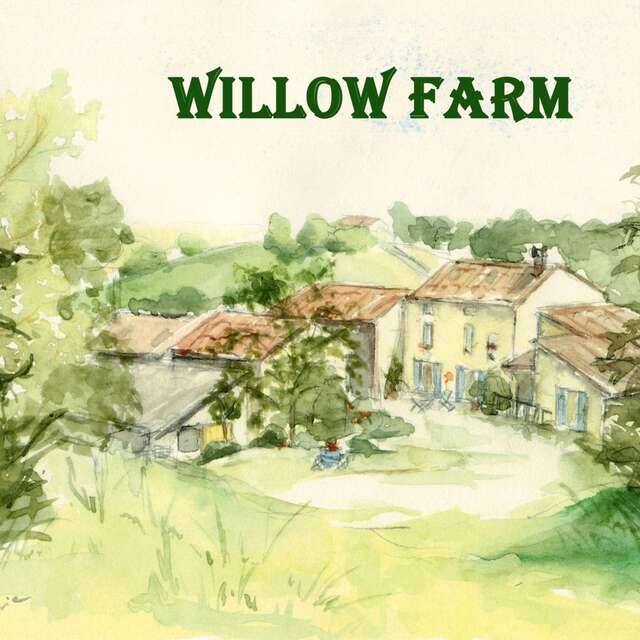Les iris - Willow Farm