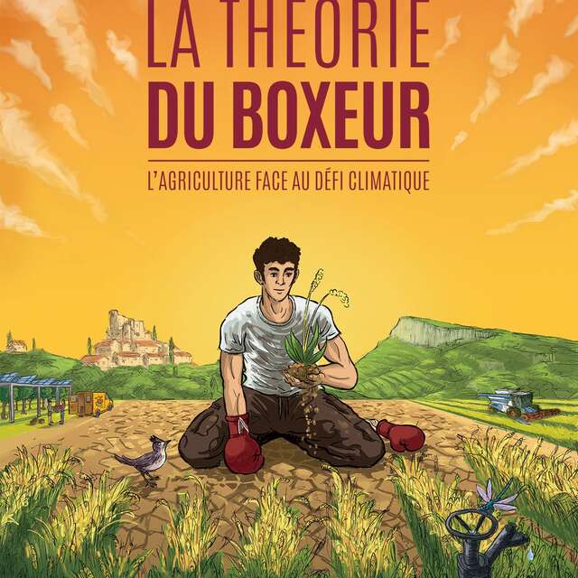 Ciné discussion - La théorie du boxeur