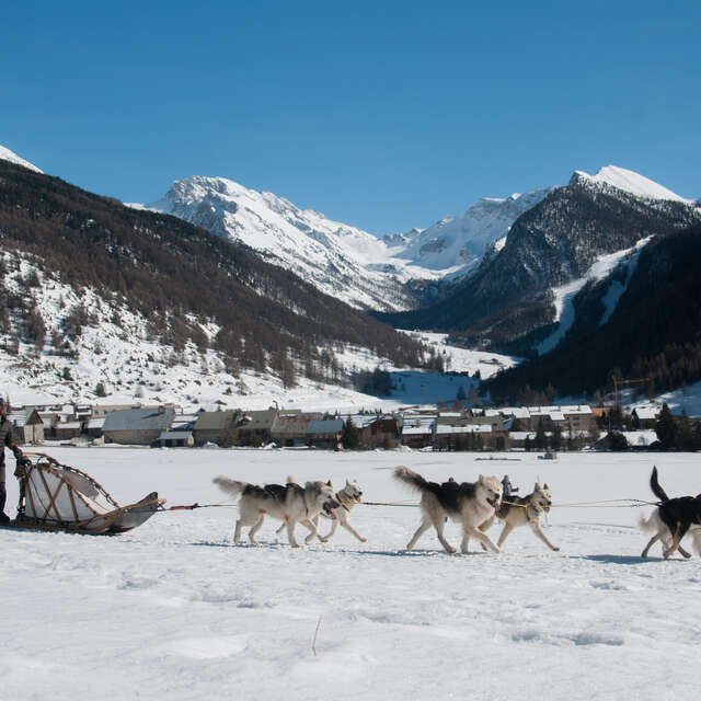 Balade en traîneaux à chiens