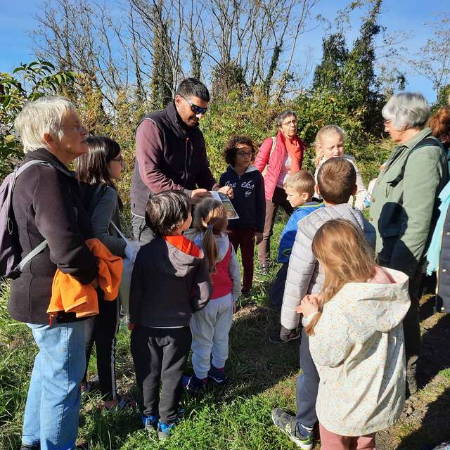 Enquête au puy de Mur - À la recherche des animaux