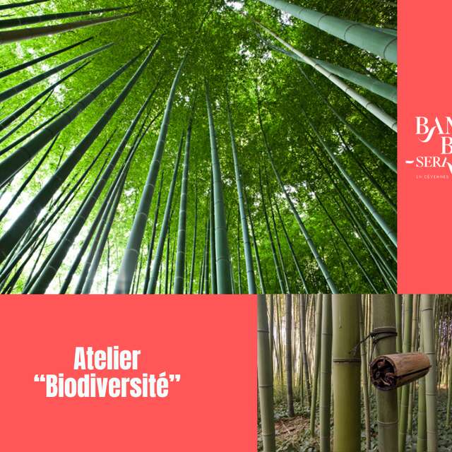 Atelier biodiversité