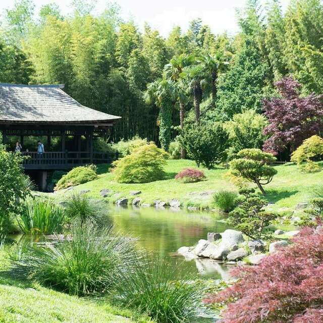 Conférence - Le règne insoupçonné des plantes