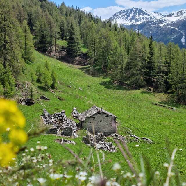 Hiking trail : Nazonde