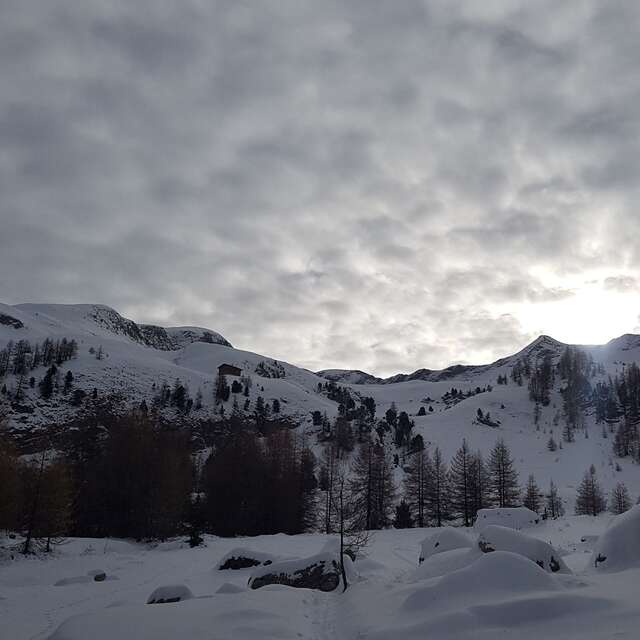 Balade gourmande à Ancelle - Accompagnateurs en montagne du Champsaur