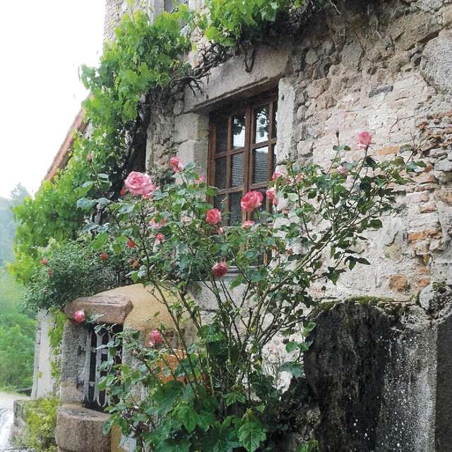 Les puits, au fil de I'eau