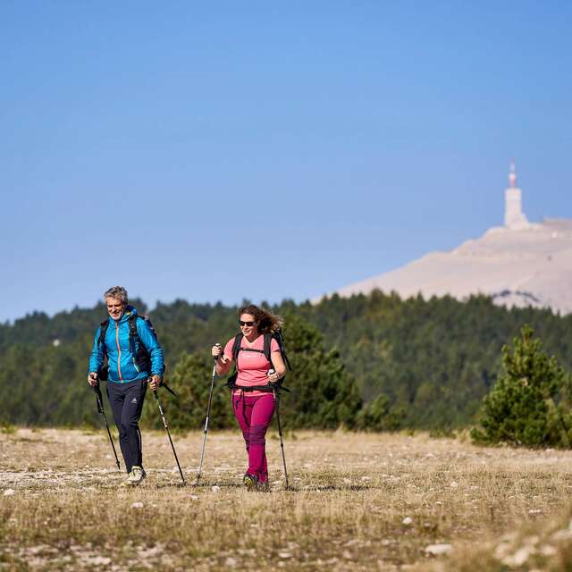 BÉDOIN - Les crêtes du Mont Ventoux
