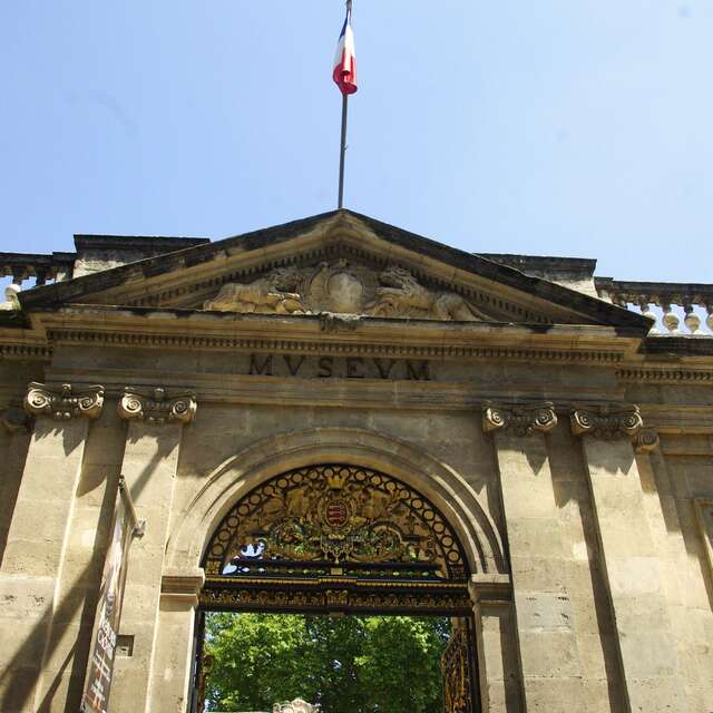 Musée Calvet