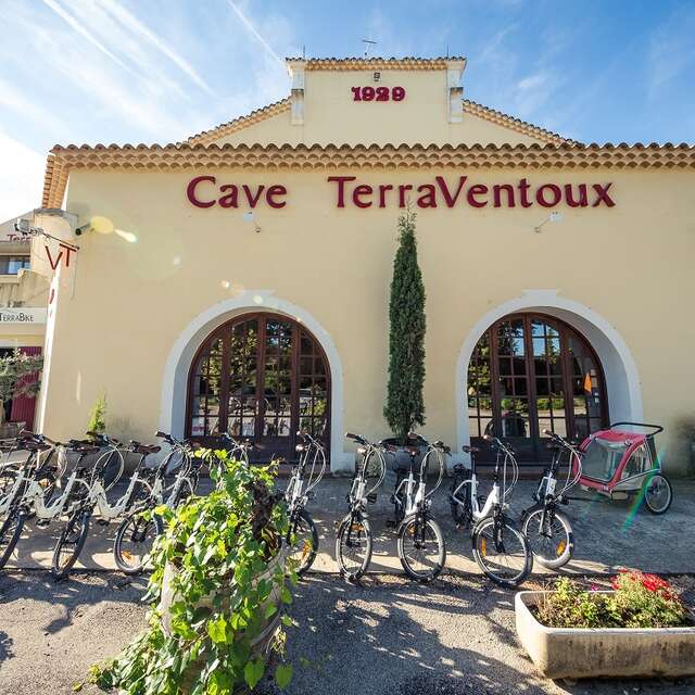 Cave Terraventoux - Caveau Villes-sur-Auzon