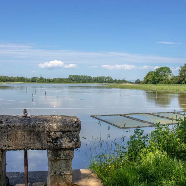 Ain by bike - From Châtillon-sur-Chalaronne to Trévoux