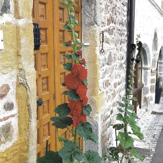 Les ouvertures - Témoins architecturaux